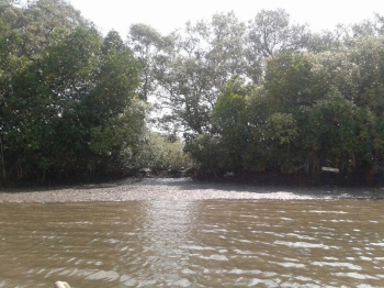 Property for sale in Kannapuram, Kannur