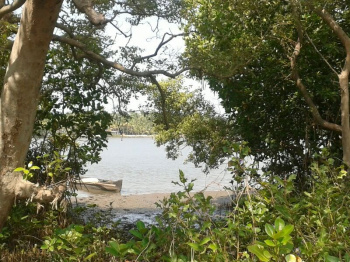 Property for sale in Kannapuram, Kannur