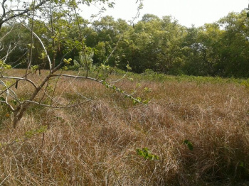 Property for sale in Kannapuram, Kannur