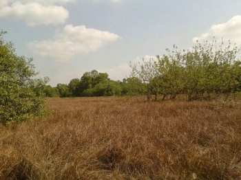 Property for sale in Kannapuram, Kannur