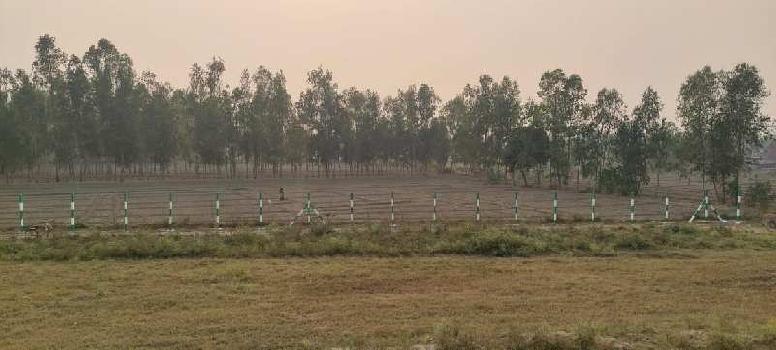 50 Acre Agricultural/Farm Land for Sale in Sultanpur Road, Lucknow