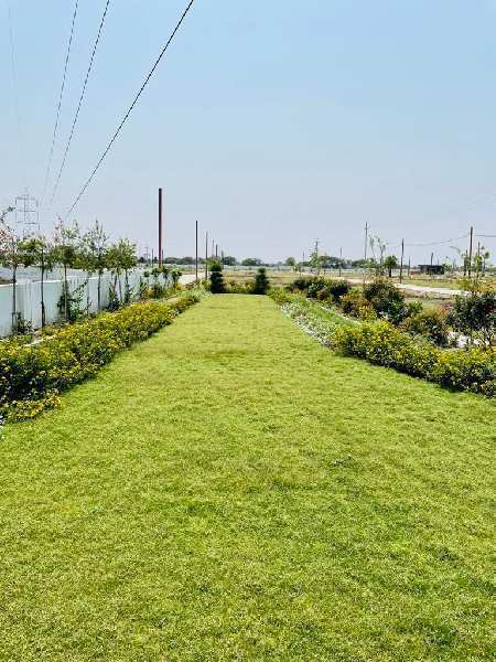 800 Square feet Plot for Sale at Indore Ujjain Road