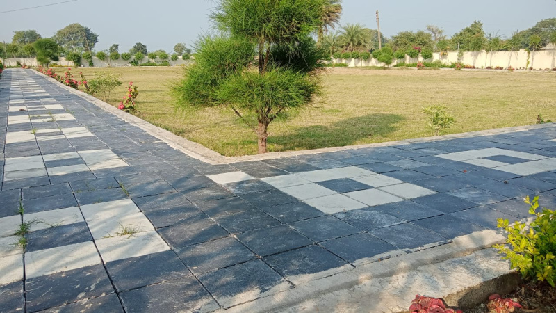 1000 Square feet Plot for Sale at Indore Ujjain Road