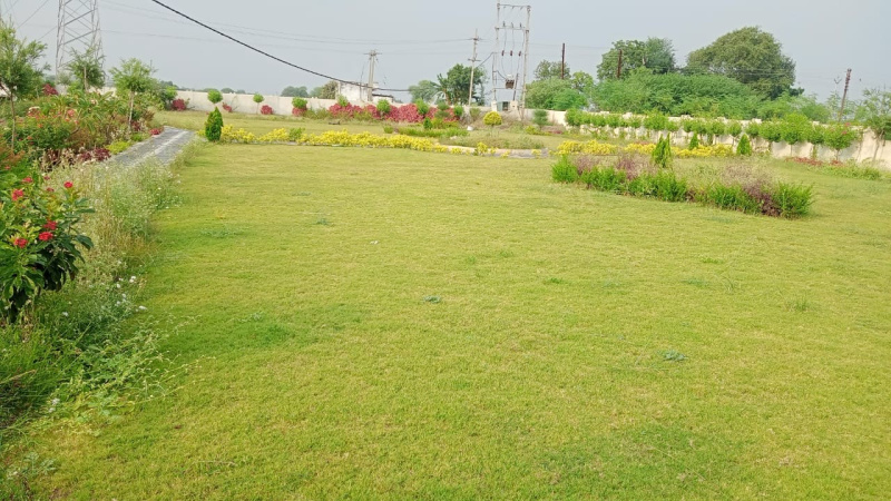 1000 Square feet Plot for Sale at Indore Ujjain Road