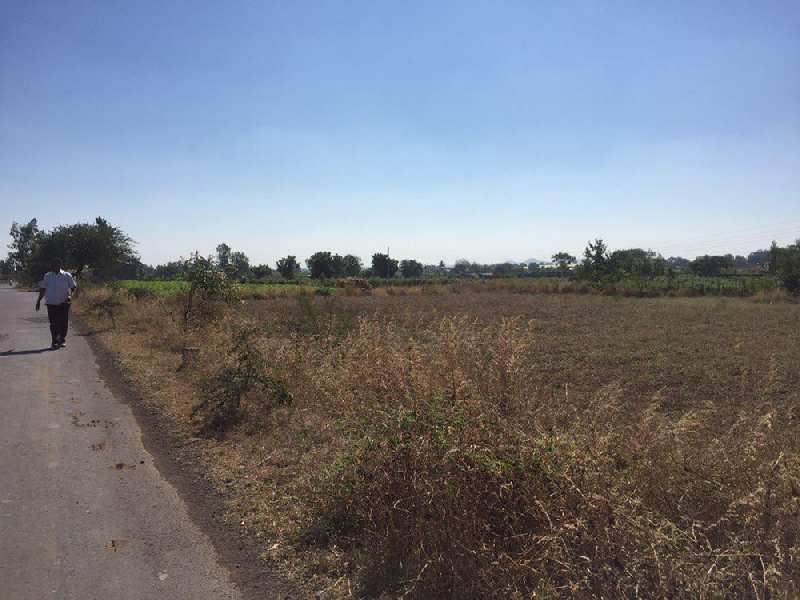 3000 Sq. Meter Agricultural/Farm Land for Sale in Dindori, Nashik