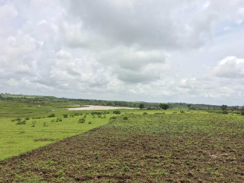Agricultural/Farm Land for Sale in Peth Road, Nashik (50 Ares)