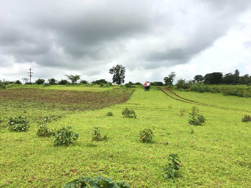 10 Ares Agricultural/Farm Land for Sale in Dindori, Nashik