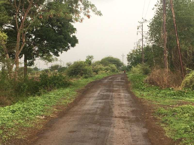 65 Guntha Agricultural/Farm Land for Sale in Dindori, Nashik
