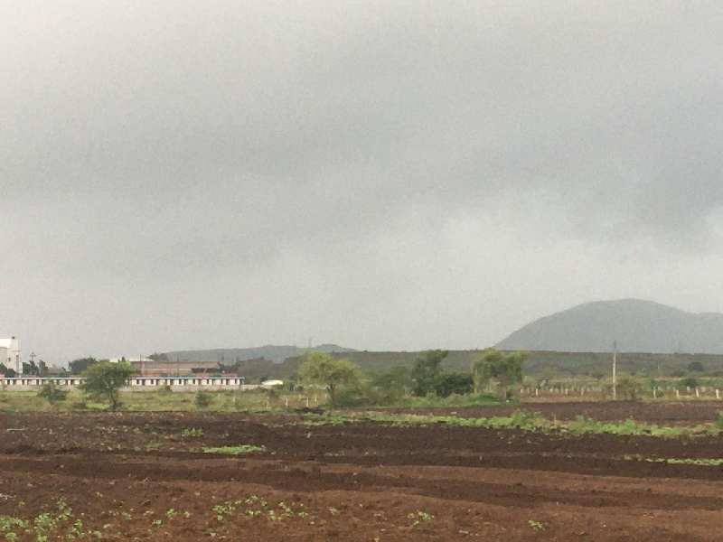 65 Guntha Agricultural/Farm Land for Sale in Dindori, Nashik