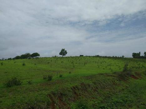 Property for sale in Trimbak, Nashik