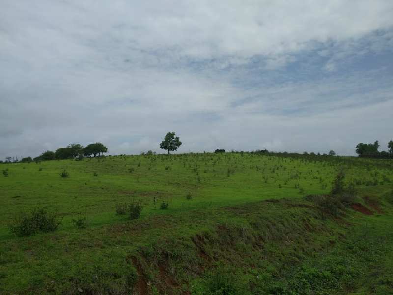 Prime location Land perfect for farm house.