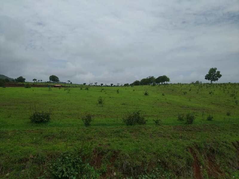 4 Acre Agricultural/Farm Land for Sale in Trimbak, Nashik