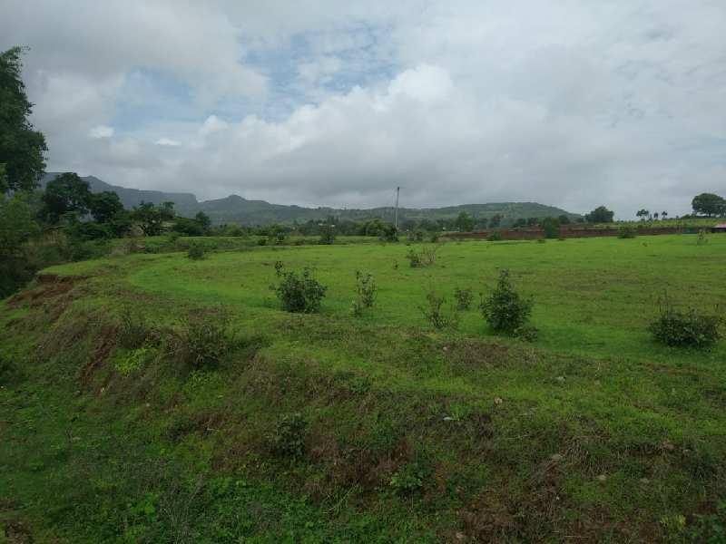 4 Acre Agricultural/Farm Land for Sale in Trimbak, Nashik