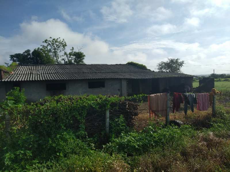 12 Acre Agricultural/Farm Land for Sale in Peth Road, Nashik