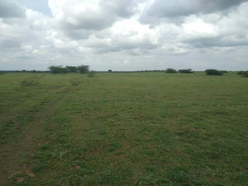 52 Acre Agricultural/Farm Land for Sale in Sinnar, Nashik