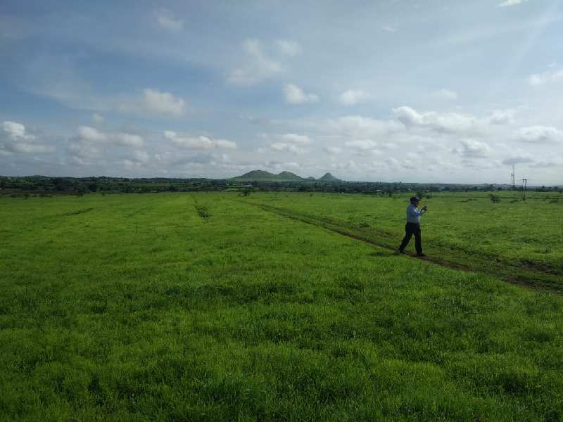30 Acre Agricultural/Farm Land for Sale in Peth Road, Nashik