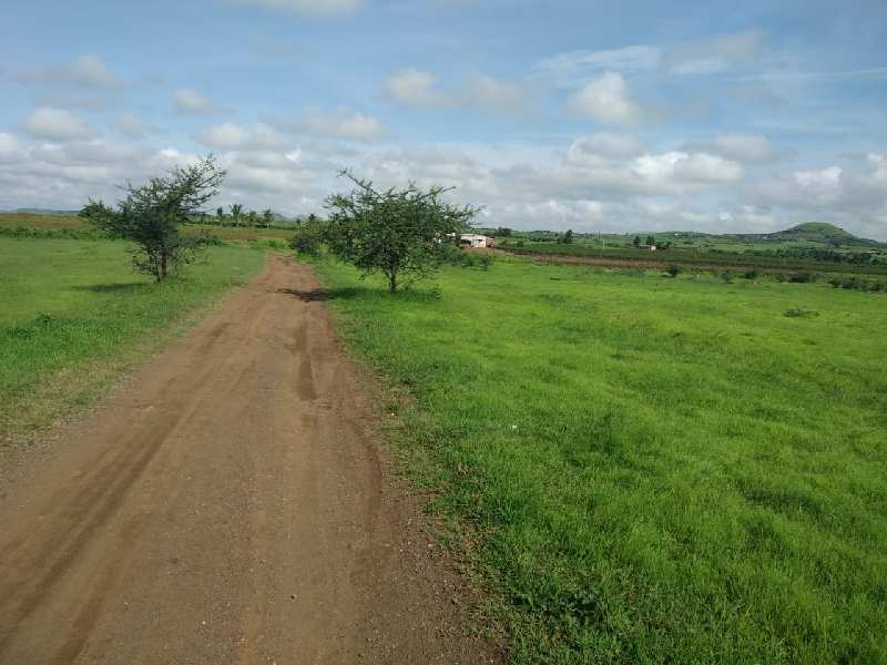 30 Acre Agricultural/Farm Land for Sale in Peth Road, Nashik