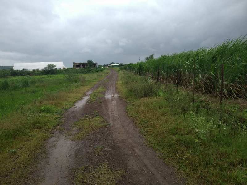 6 Acre Agricultural/Farm Land for Sale in Eklahare, Nashik