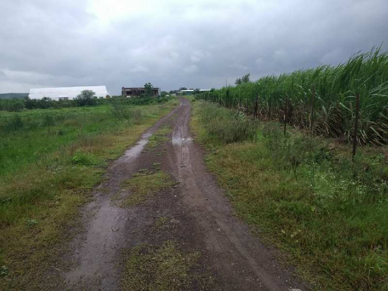 6 Acre Agricultural/Farm Land for Sale in Eklahare, Nashik