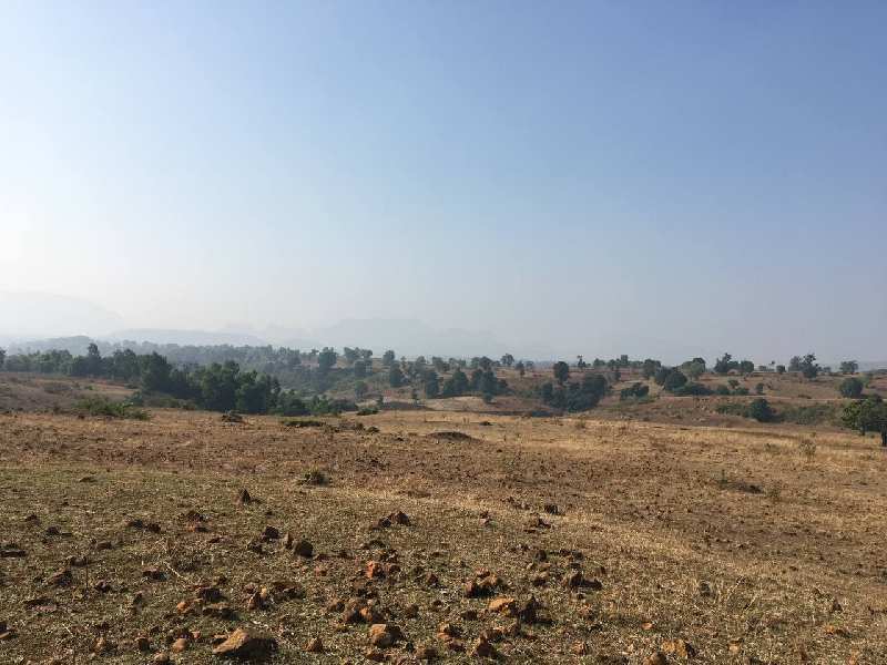7.5 Acre Agricultural/Farm Land for Sale in Trimbak Road, Nashik