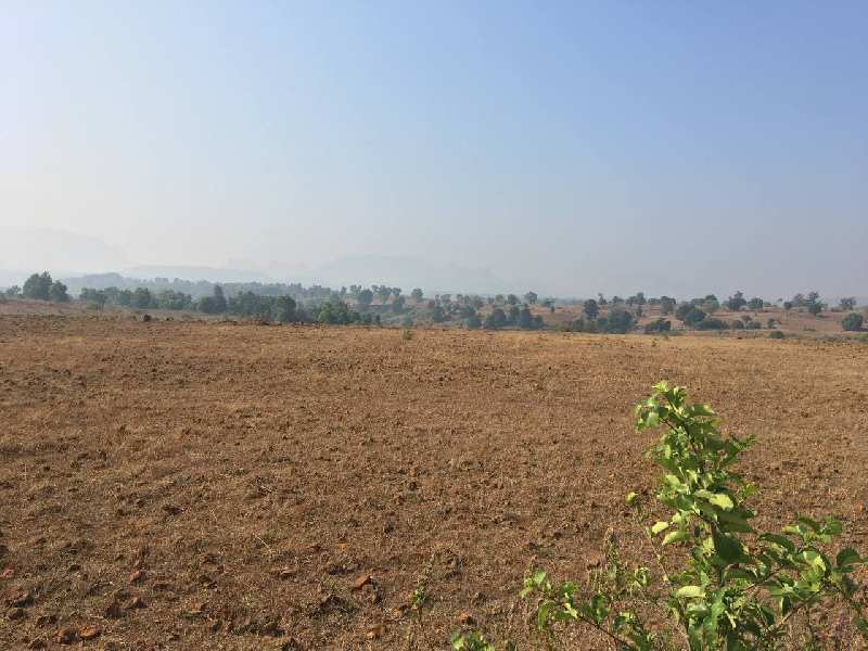 7.5 Acre Agricultural/Farm Land for Sale in Trimbak Road, Nashik