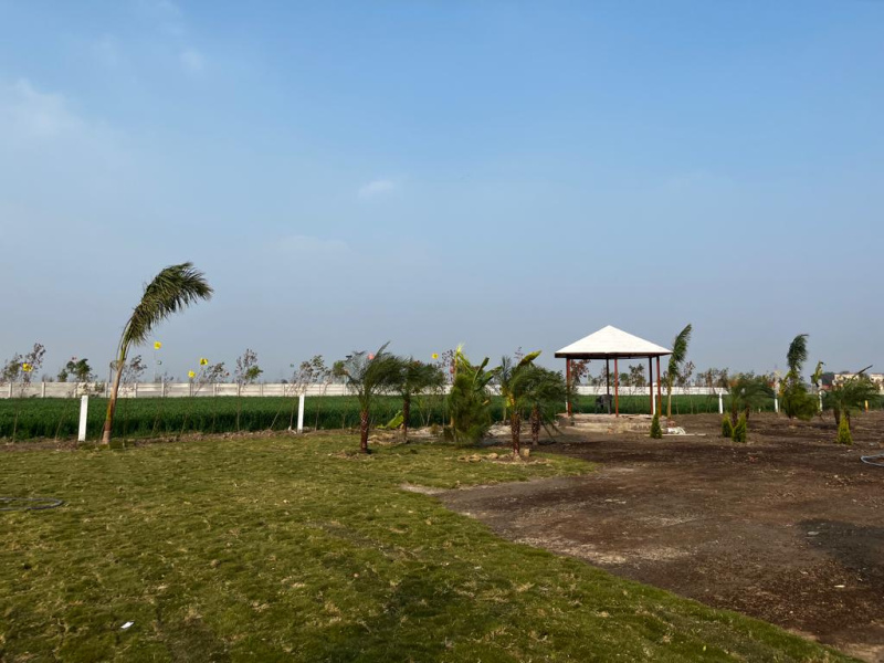 2 Acre farm land for sale novel green farm land maujabad faridabad 4.97 cr