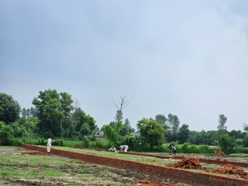 200 Sq. Yards Agricultural/Farm Land for Sale in Dankaur, Greater Noida