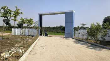 plot for sale presidum empire solra palwal district  300 gaj plot 75 lac