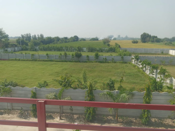 PLOT FOR SALE SMR GREEN WOODS (AGF Developers )SOLRA HARYANA PLOT 300 Gaj  175 LAC