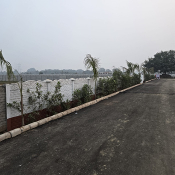 Farm Land for sale Evergreen 🌲 Farm greater noida Bilaspur Dankaur 500 gaj 80  cr