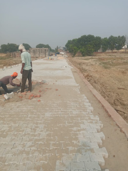 Plot For Sale Dankaur SAI KUNJ 100 Gaj PLOT 24.99 LAC