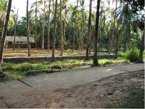 18 Cent Residential Plot for Sale in Guruvayur, Thrissur