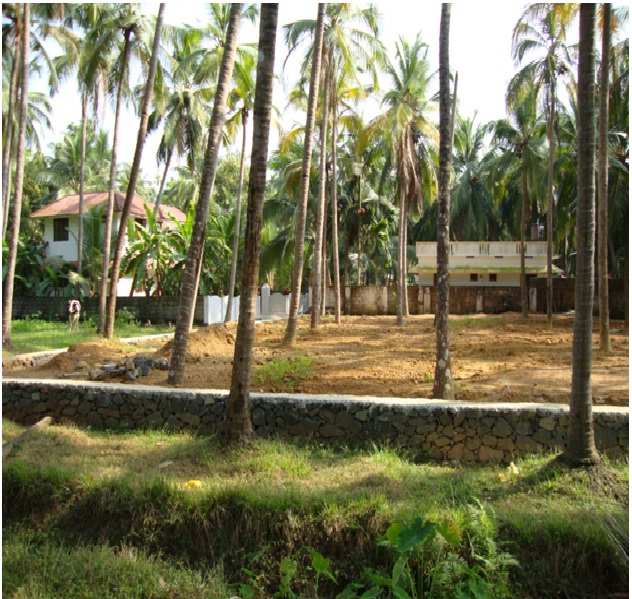 6 Cent Residential Plot for Sale in West Nada, Thrissur