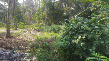 Residential Plot at Thangasserry