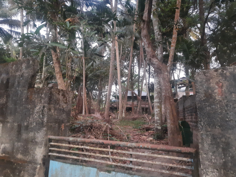 Residential Property a Vellayani near Punchakkari in Trivandrum