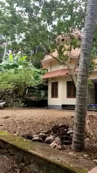 Farm House with 2BHK Nalukettu Villa