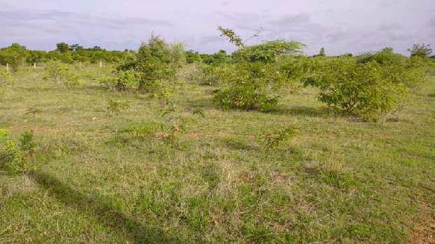 6.5 Acre Agricultural/Farm Land for Sale in Gangapur Aurangabad, Aurangabad (6.25 Acre)