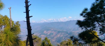 5400 Sq.ft. Residential Plot for Sale in Mall Road, Almora