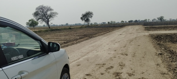 Plout for sale in chata govardhan Rode