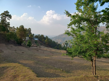 Land for sale in chapar almora to mukteshwar Road