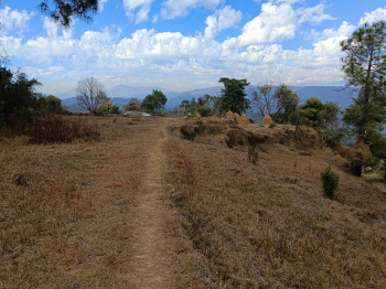 Residential Plot for Sale in Kaladhungi, Nainital (24 Bigha)