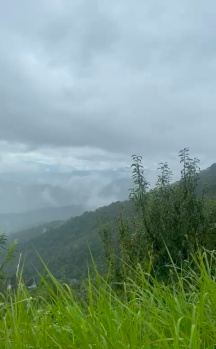 Residential Plot for Sale in Hartola, Nainital, Nainital (2160 Sq.ft.)