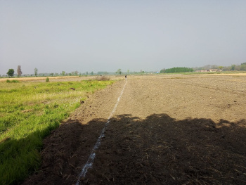 Residential Plot for Sale in Pathri, Haridwar (1000 Sq.ft.)