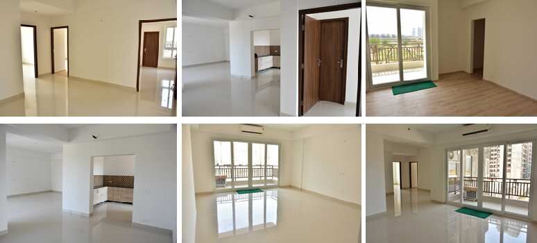 3 BHK Flats & Apartments for Sale in Sector 102, Gurgaon (1689 Sq.ft.)