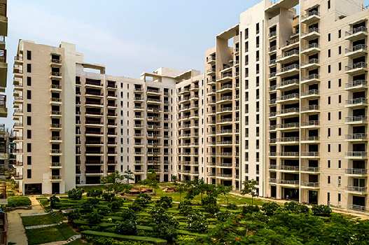 Property for sale in Sector 99 Gurgaon