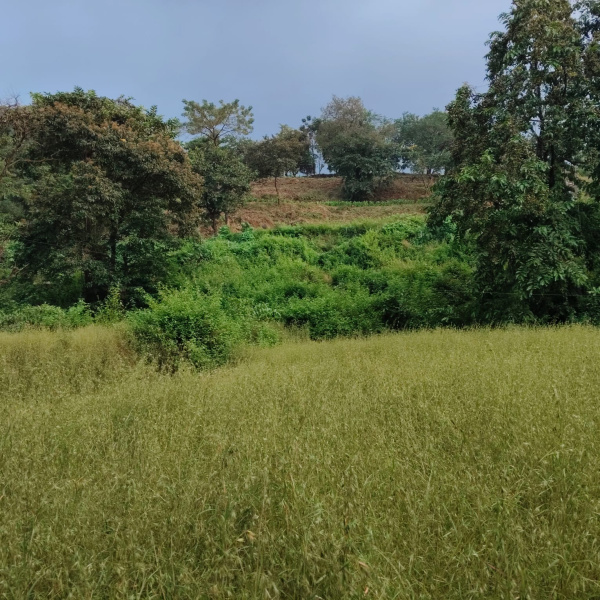 Agricultural/Farm Land For Sale In Roha, Raigad (5 Acre)