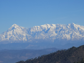 Property for sale in Mukteshwar, Nainital