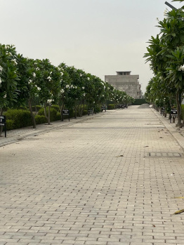 Residential Plot for Sale in Sector 8, Palwal (1170 Sq.ft.)