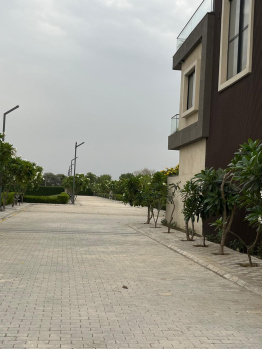 Property for sale in Sector 8, Palwal