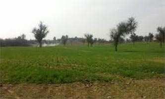 Agricultural Farm Land for Sale At Gt Karnal Road